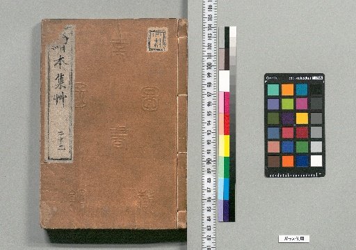 Illustrated Collection of Grass [22]