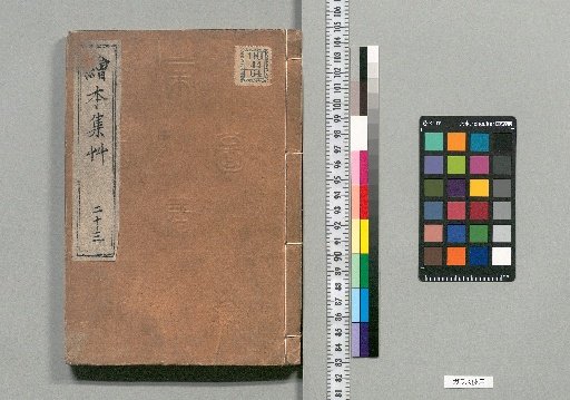 Illustrated Collection of Grasses [23]