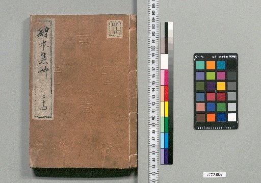 Illustrated Collection of Grass [24]
