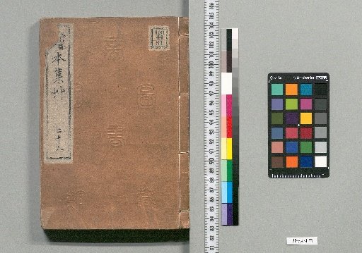 Illustrated Collection of Grass [25]