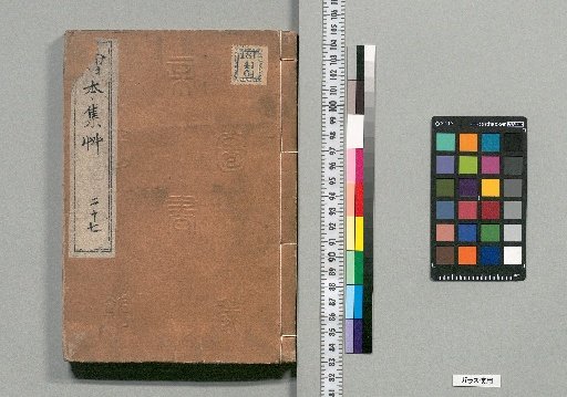 Illustrated Collection of Grass [27]