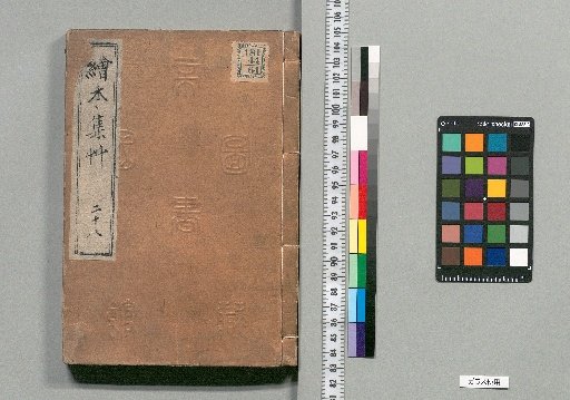 Illustrated Collection of Grass [28]