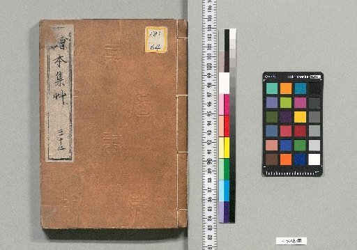 Illustrated Collection of Grass [32]