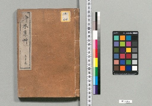 Illustrated Collection of Grasses [33]