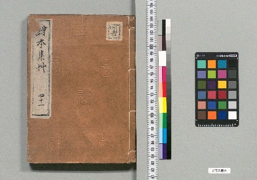 Illustrated Collection of Grasses [41]