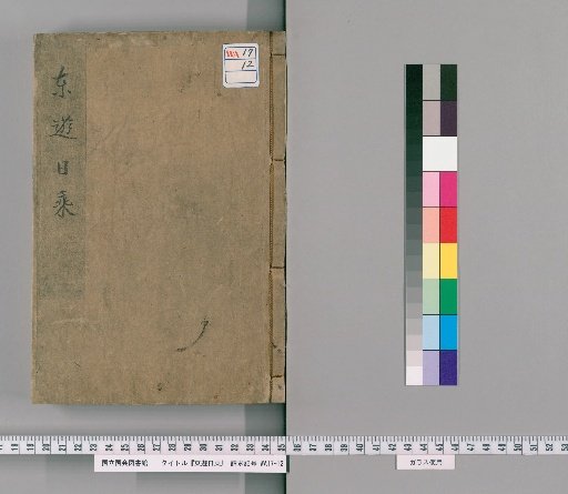 Daily Records of a Journey to the East