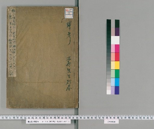 Examination of the Koto