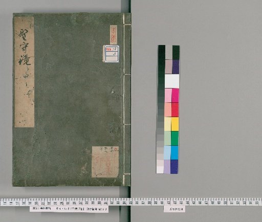 Mirror of the Wild Guard, 2 Volumes