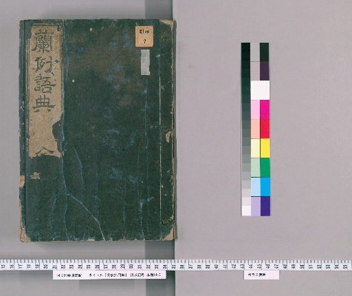 Dutch Example and Usage Collection