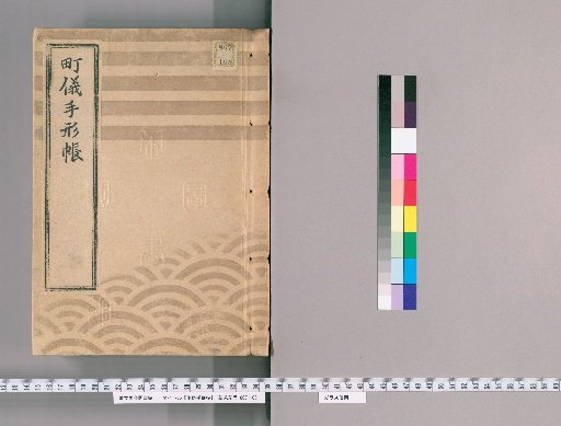 Town Bill Book