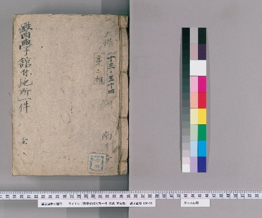 One Piece of Land Assigned to the Medical Hall, Tenpo Year, Southern Yearly Rotation