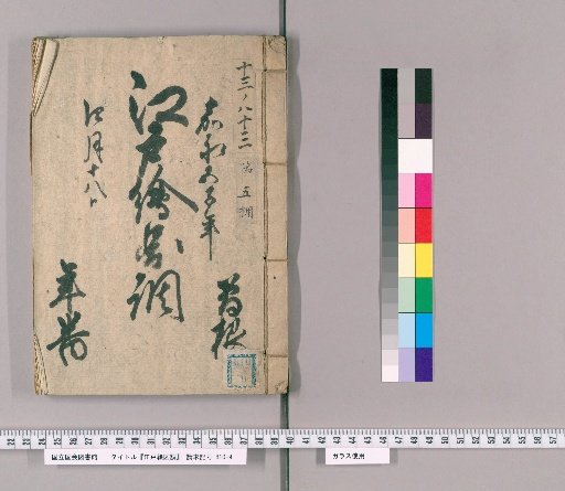 Edo Map Survey