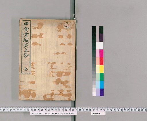 Record of the Burning of the Capital in the Year of the Tiger