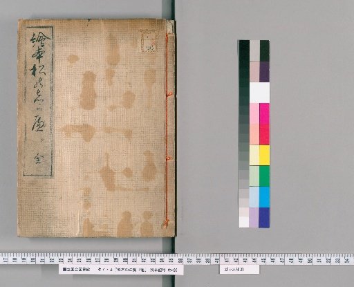 Picture Book: Examination of Pines, 2 volumes