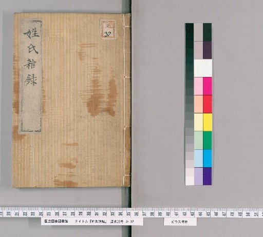 Miscellaneous Records of Surnames