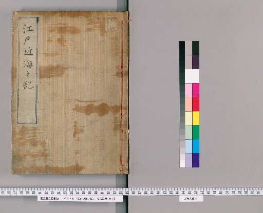 Record of the Waters Near Edo