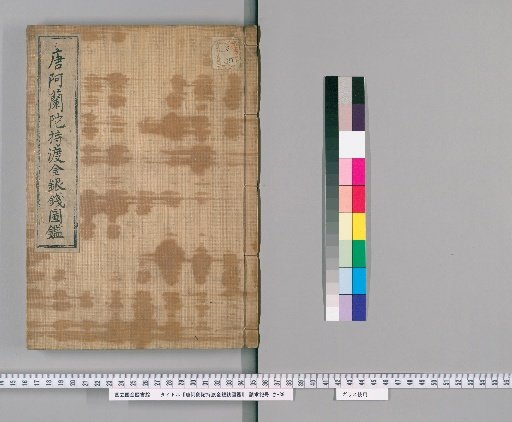 Illustrated Catalogue of Chinese and Dutch Gold and Silver Coins Brought to Japan