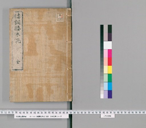 Japanese Poems Grafted with Flowers, 2 Volumes