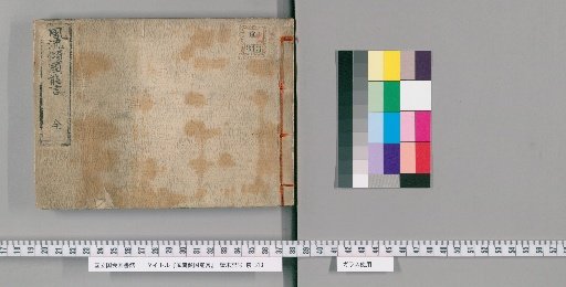 Elegant Tales of a Nation's Beauty