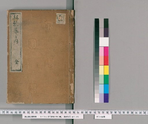 Kyoka Inside the Curtain, 2 Volumes