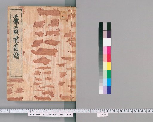 Kenkaidō Fungus Catalog