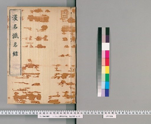 Record of Chinese Names and Local Names