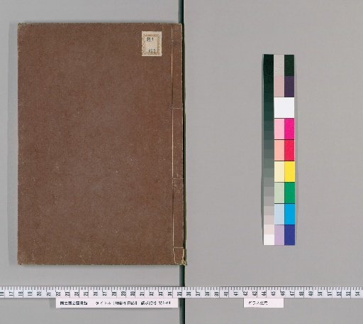 Journal of Embroidered Silk Gauze