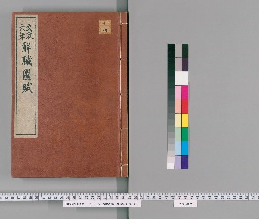 Illustrations and Ode of the Human Organs