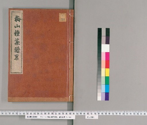 Brief Record of Tea Cultivation at Umezan