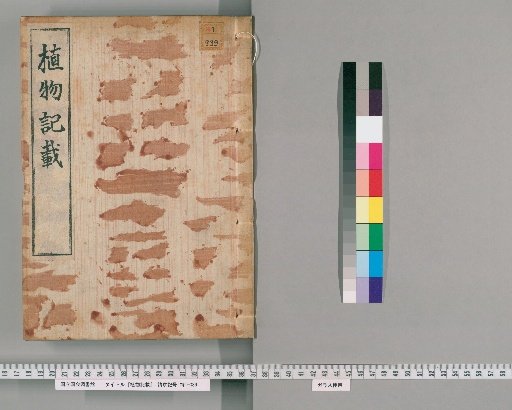 Record of Plants