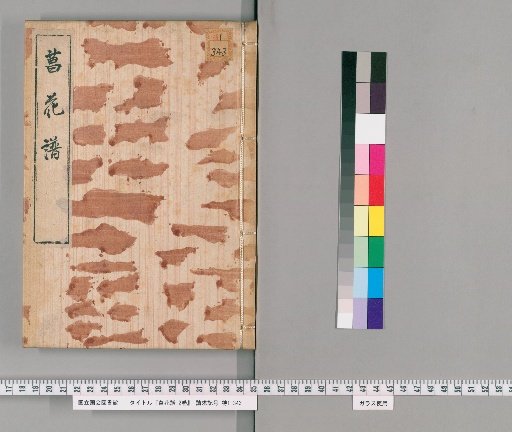 Iris Flower Catalog, 2 Volumes