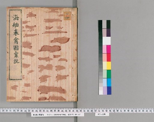 Illustrated Compilation of Foreign Fruits Brought by Sea Ships