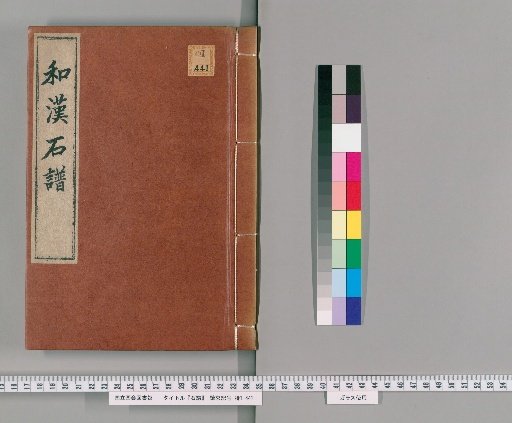 Catalogue of Stones