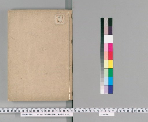 鉴赏 of Flowers and Leaves of Suruga, Enshu, and Shinano