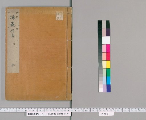 Guide to Insect Collection