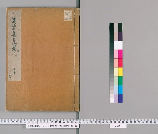 Examination of the Names of Things in the Many-Leaf Collection, Volumes 1 and 2
