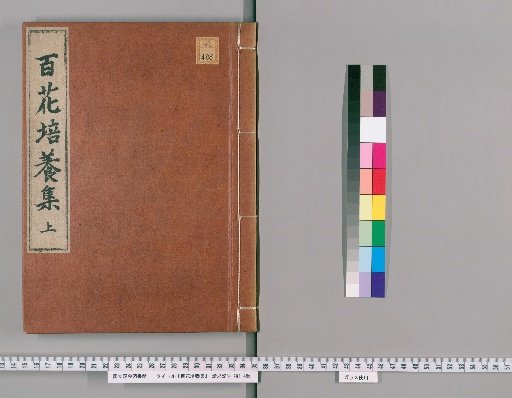 Collection of Flower Cultivation, Volume 1