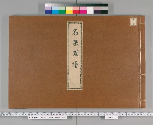 Illustrated Catalogue of Famous Fruits