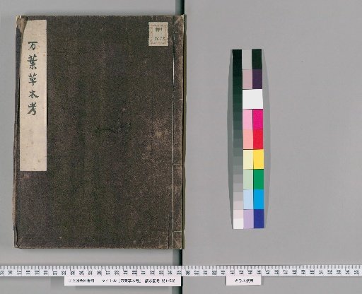 Examination of Plants in the Manyoshu