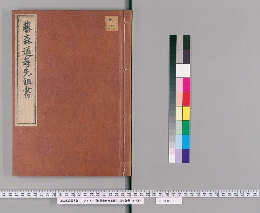 Ancestral Records of Fujibayashi Dōju