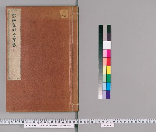 Register of the Duties of the Chief Physician
