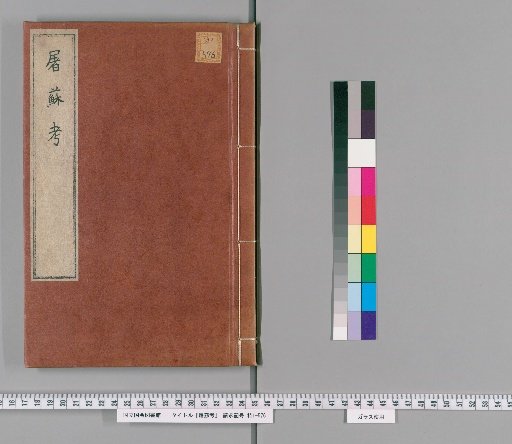 Examination of Tusu