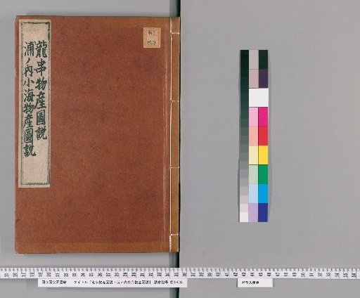 Ryūtsuri Product Illustration and Ura-no-uchi Kōkai Product Illustration