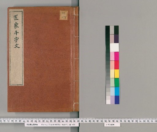 Annotations on the Medical Thousand Character Classic