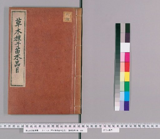 Catalog of Herbs, Seeds, and Seedlings