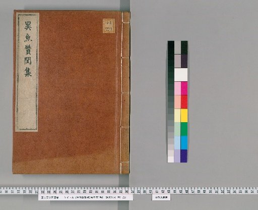 Supplement to the Illustrated Praise of Strange Fish, 3 Volumes plus 1 Appendix Volume