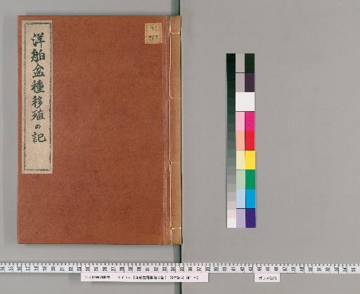 Record of Transplanting Foreign Ship Pottery Seeds