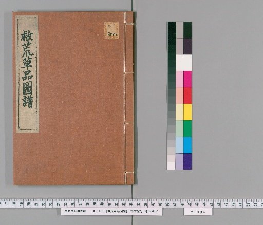Illustrated Catalogue of Emergency Food Plants