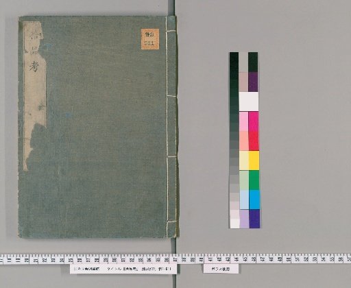 Examination of Selected Items