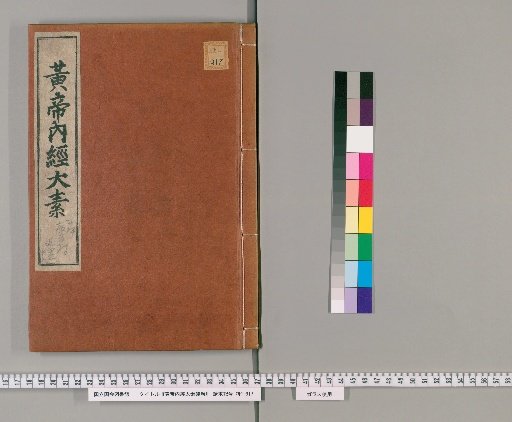 Fragments of the Taishu of the Yellow Emperor's Inner Canon